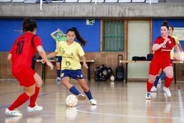 El Teldeportivo B, sorprendido por el colista Universidad de Valladolid (1-2)/TA.
